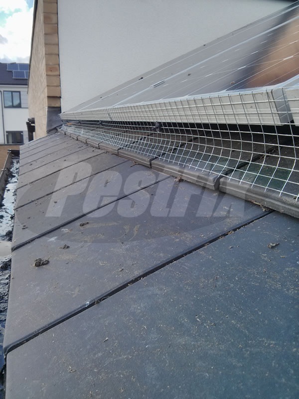 Solar Panel Bird Proofing Kits - Image 7